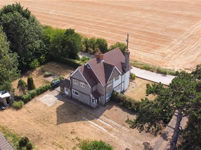 Picture 11